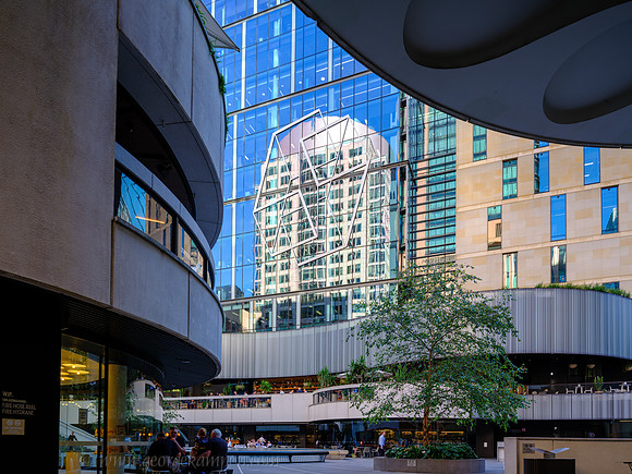 GSK-GFX100II-0000246-Edit