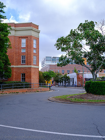 GSK-GFX100-0001390