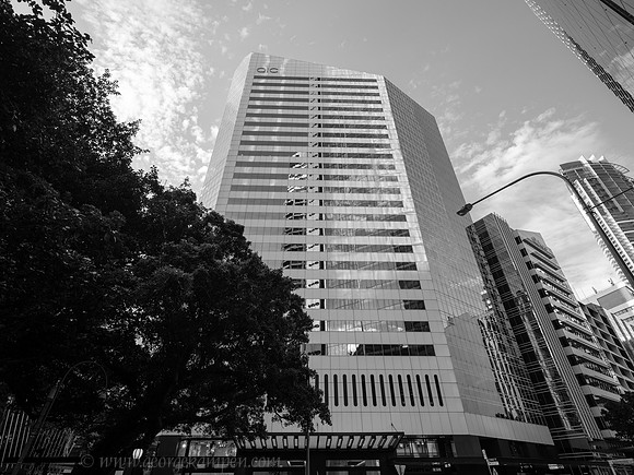 GSK-GFX100-0004242