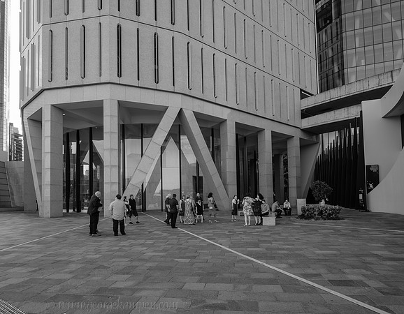 GSK-GFX100-0004236