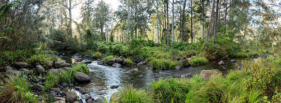 GSK-5DsR-0006643-Pano