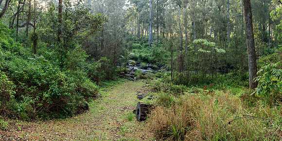 GSK-5DsR-0006632-Pano