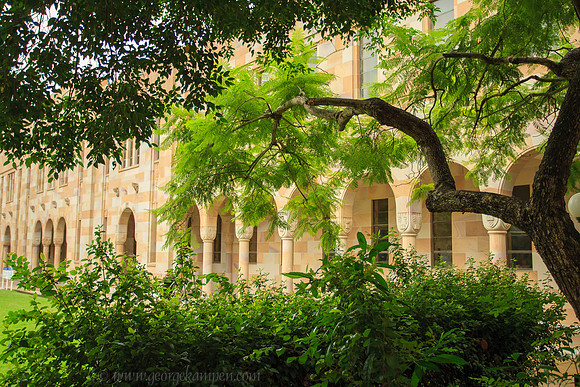 Forgan Smith Building