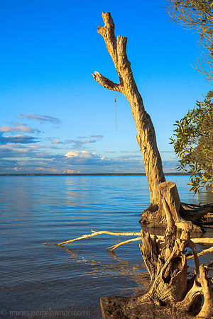 Lake Cootharaba