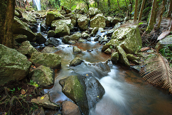 Below Curtis Falls