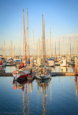 Manly Boat Harbour