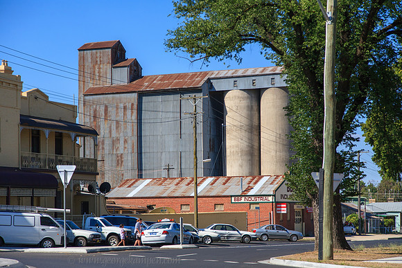 GSK-5D-0006768