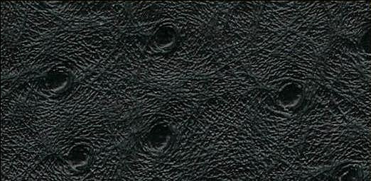 Ostrich Black.jpg
